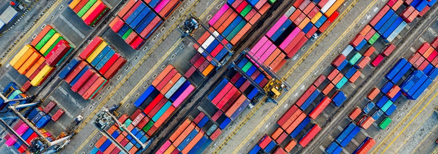 Customs and Trade Export (NLQF 3)